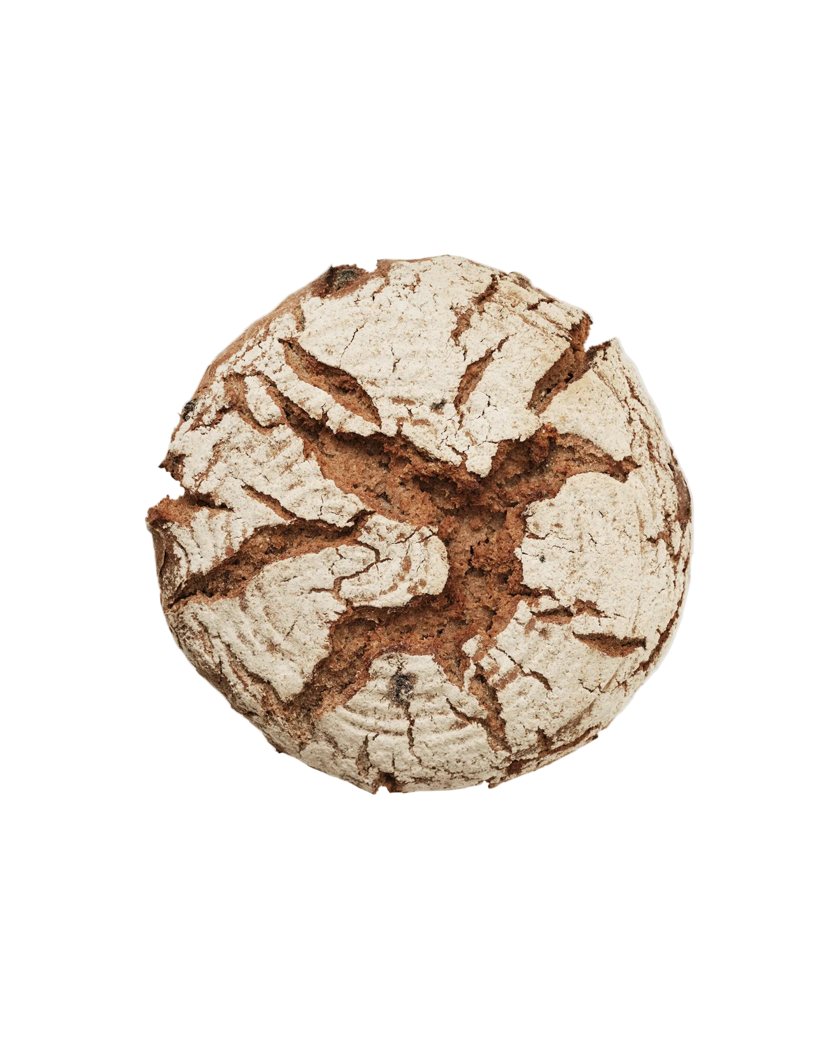 PA DE SÈGOL (91 %) AMB PANSES (4,9%) I NOUS (4,9%)