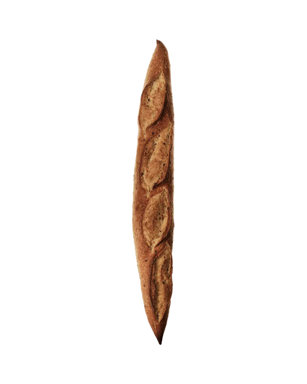 BAGUETTE AMB CIVADA 2,45%, LLI 2,45% I SÈSAM 2,45%